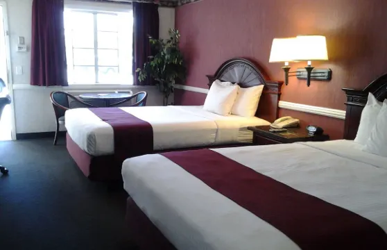 裡布戴娜絲緹套房酒店