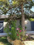 Cosy Wood House Hotels in Clérey