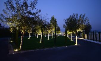 a well - lit park at night , with trees and grass lit up in the evening light at X Hotel