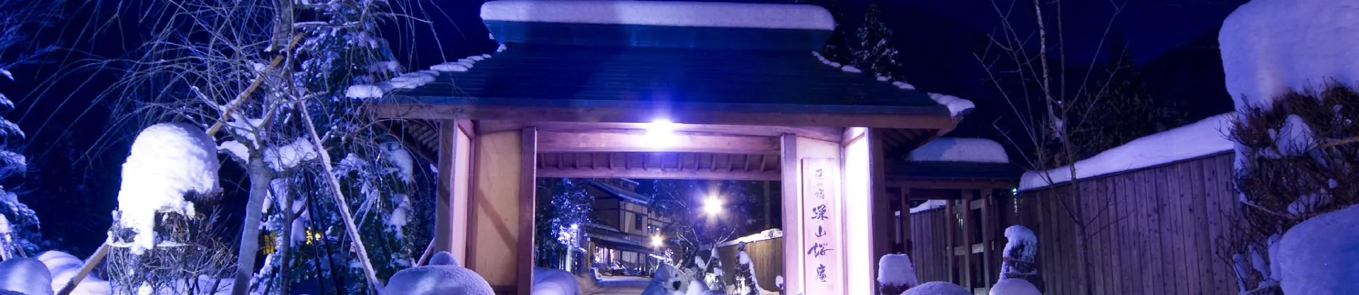 Ski Hotels