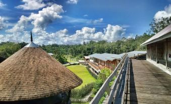 Borneo Tribal Village (Btv)