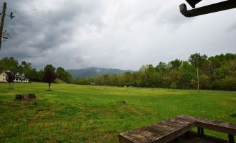 a wooden bench is situated in a green field with trees and mountains in the background at Graves Mountain Farm & Lodges