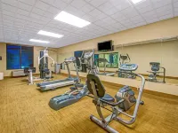 Comfort Inn & Suites Frisco East - McKinney - Gym