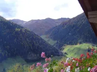 Apartmenthaus Gutwenger - Homestays