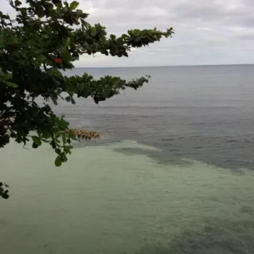 Sascha's Resort Oslob