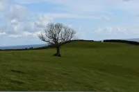 Frogwell Hôtels à : Stoke Fleming