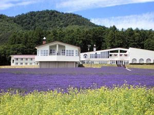 Highland Furano