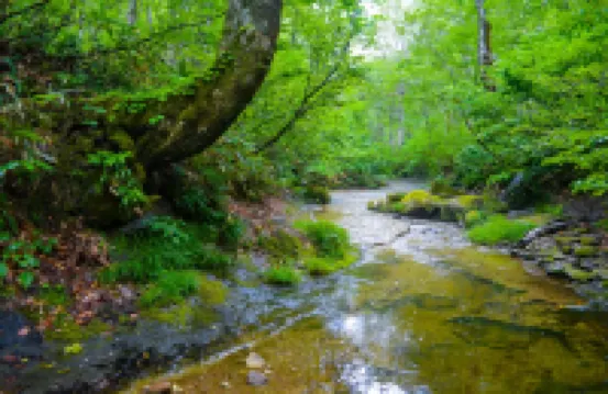 Mori No Bunkou Fuzawa - Vacation Stay 92943V