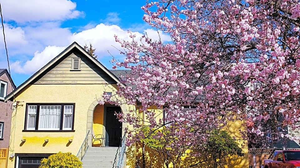 James Bay Inn Hotel, Suites & Cottage