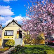 James Bay Inn Hotel, Suites & Cottage