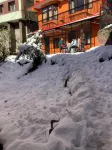 GingerGrass Hotel