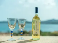 Le Bijou 坎尼吉翁酒店