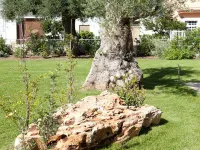 Donna Lucrezia Hotels in Torre Canne