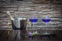 Hyatt Regency Dharamshala Resort - 5-Star
