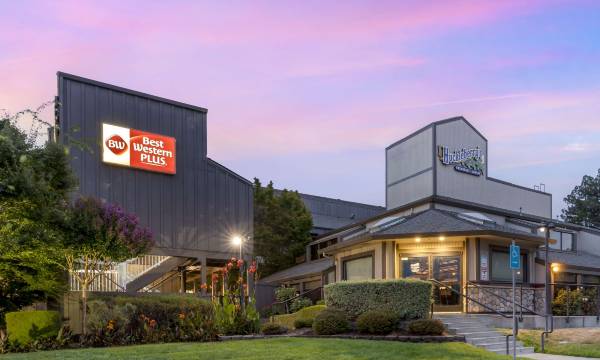 Best Western Plus Inn at the Vines