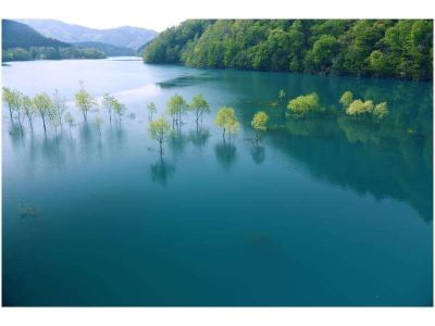 ホテル周辺 新玉川温泉の写真