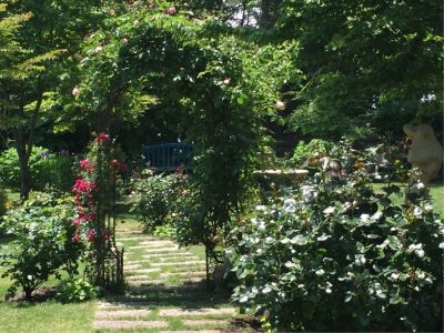 庭 プチホテル＆レストラン オールドエイジの写真