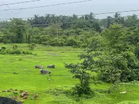 Green Leaf Resort Goa