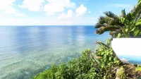 Sea Turtle View Cottage (Okinoerabu Island) Hotels in Wadomari