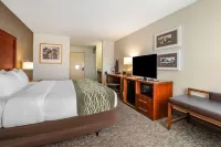 Comfort Inn Humboldt Bay