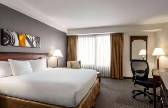 斯普林菲爾德市中心温德姆酒店