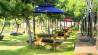 Seocheon Paintree Glamping Hotels in Seocheon-gun