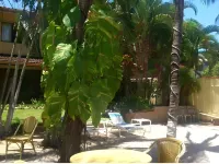 Hotel Laguna del Cocodrilo