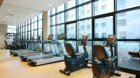 Dominiclava Sokco - Gym