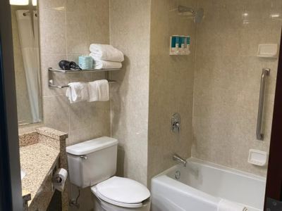 Standard King Room-Mobility Accessible Drury Inn & Suites Detroit Troy Photo