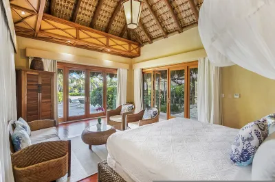 All-inclusive Ocean View Cap Cana Villa With Chef Butler Maid Pool Jacuzzi Eden Roc Beach Access Hotels near Caleton Beach Club By Eden Roc