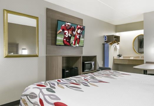 레드 루프 인 전경