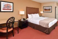 The Hotel Vue