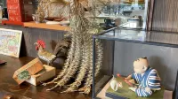 gamouya Hotels in Sakaide