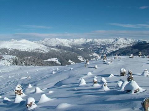 Lingerhof Arnika - Housity