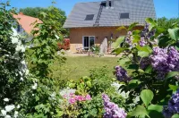 Fantastic FH, terrace, fireplace, close to the Baltic Sea, Bodden view - Wifi