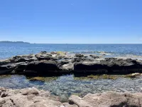 T2 les Pieds Dans L'eau aux Pins Penchés !