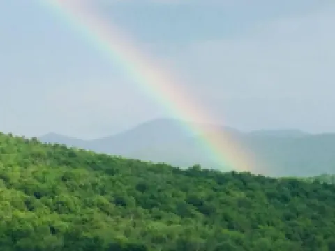 Inn at 84 Empire: New fully furnished 1 BR Apt