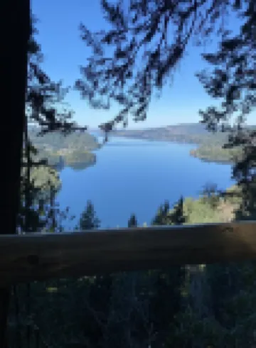 Galbraith Mountain Forest Escape