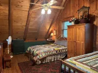 Oma's Cabin on Arkansas River - cozy remote cabin overlooking the Arkansas River
