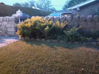 Nottingham Turret Rm w Queen Bed, Near UVaWise & Main St,  Private Detached Bath