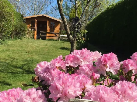 Welcoming family holiday home close to sea, beach,  activities and country park