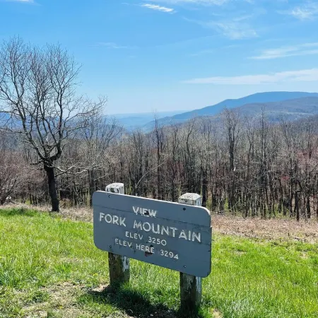 5 minutes to Blue Ridge Parkway, Crabtree Falls,  hiking, wineries, breweries