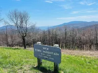 5 minutes to Blue Ridge Parkway, Crabtree Falls,  hiking, wineries, breweries