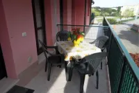 グリーン オアシス クローズ トゥ ザ センター