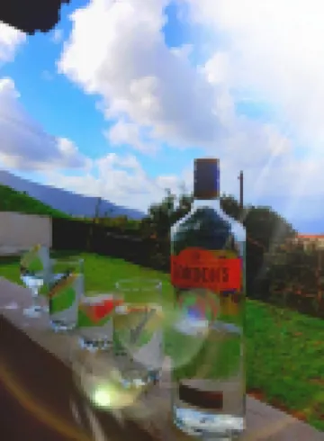 Traditional Canarian Cottage situated on a Beautiful Finca