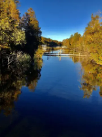 Enjoy the beautiful views of the Muskegon River near Hardy Dam and Dragon Trail