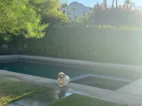 Fab Mid Century Cathedral Cove Pool Home with Stunning Mountain Views