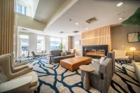 Hilton Garden Inn Rochester Downtown - bar