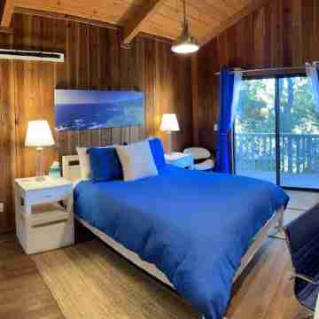 Big Sur-Style Lodge in Carmel - Panoramic Views! Hot-Tub, Game Room/Pool & Dogs Rooms