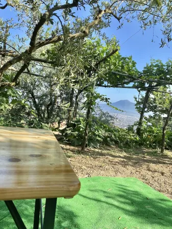 Casa Antonia-in a strategic area to visit the main attractions of Naples